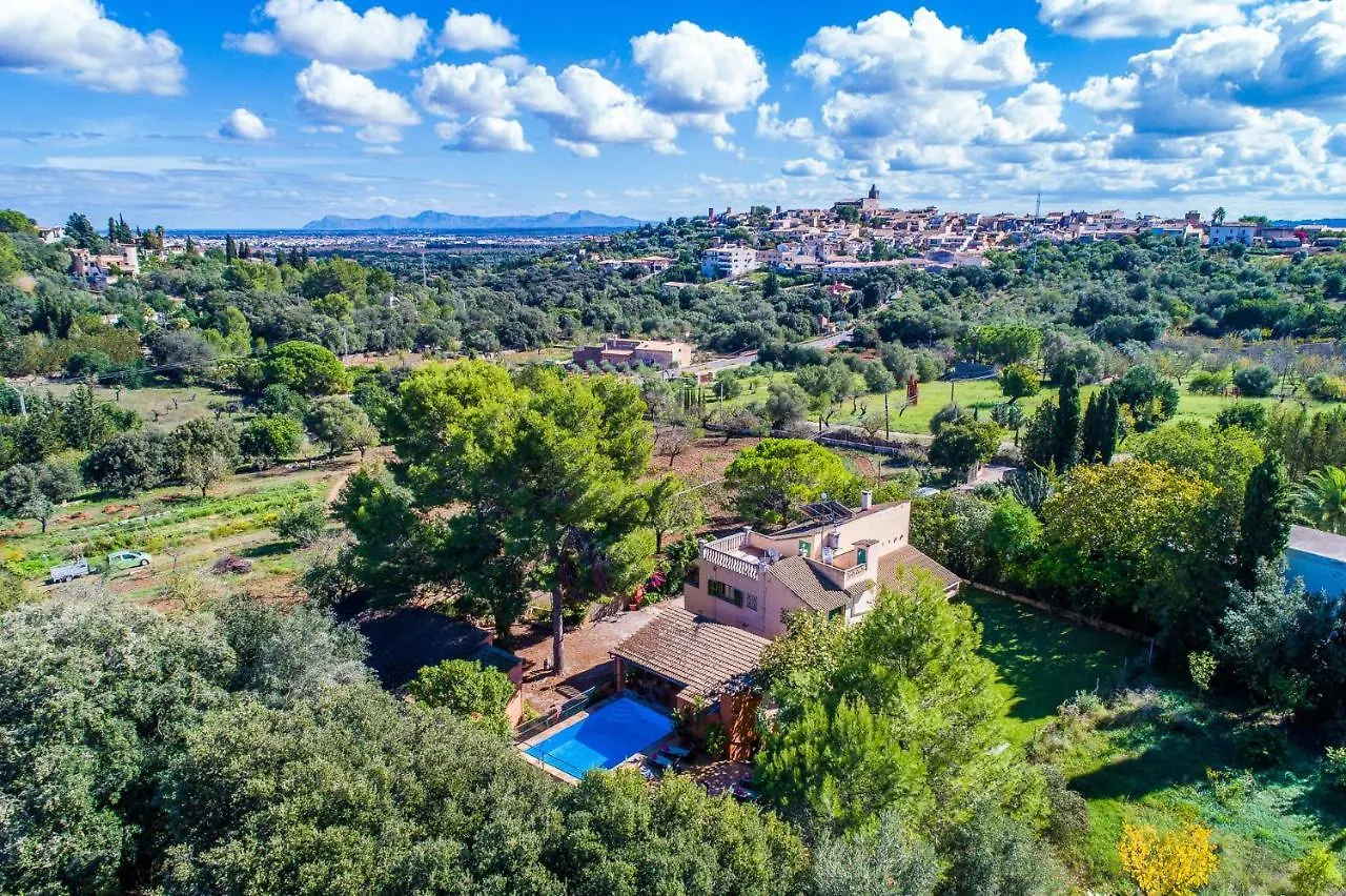 Ideal Property Mallorca - Madona - Es Puig Buger Spain