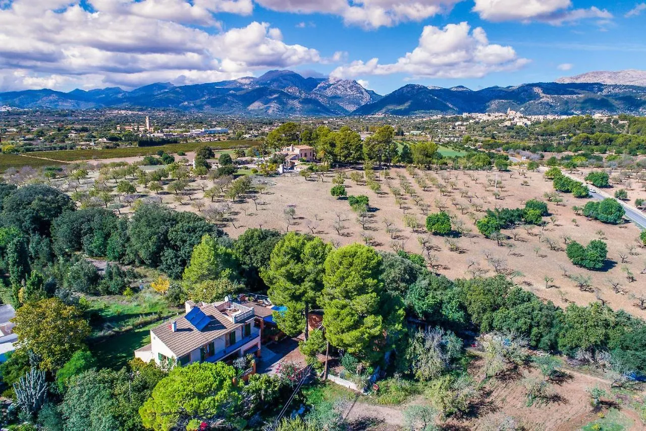 Ideal Property Mallorca - Madona - Es Puig Buger